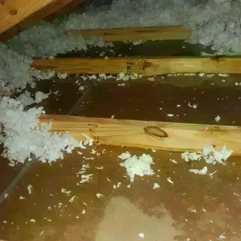 Attic Water Damage in Westerville, OH