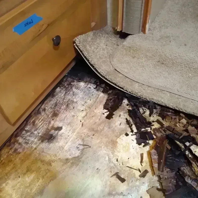 Best Wood Floor Water Damage Service in Westerville, OH